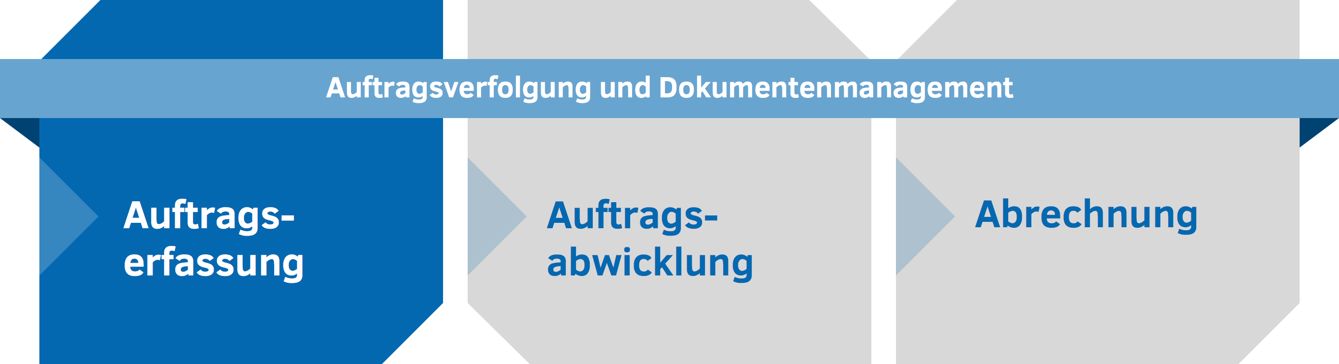 Dr. Malek Software - Auftragserfassung